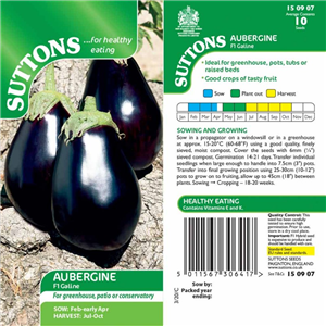 Aubergine F1 Galine
